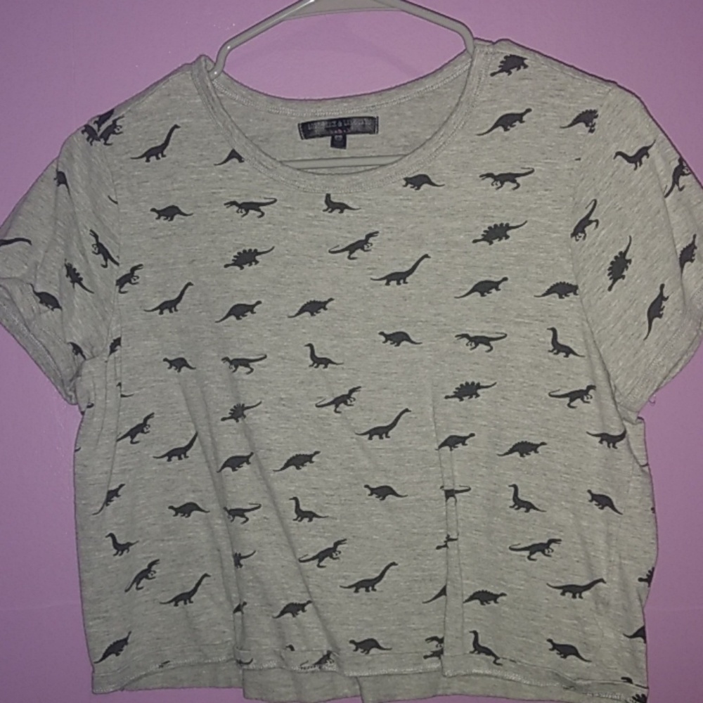 Dinosaur crop top